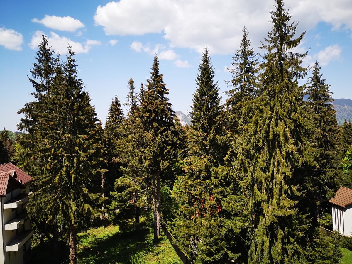 Отели типа «постель и завтрак» Pension Montien Events & Society Resort Предял-8