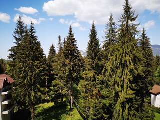 Отели типа «постель и завтрак» Pension Montien Events & Society Resort Предял-4